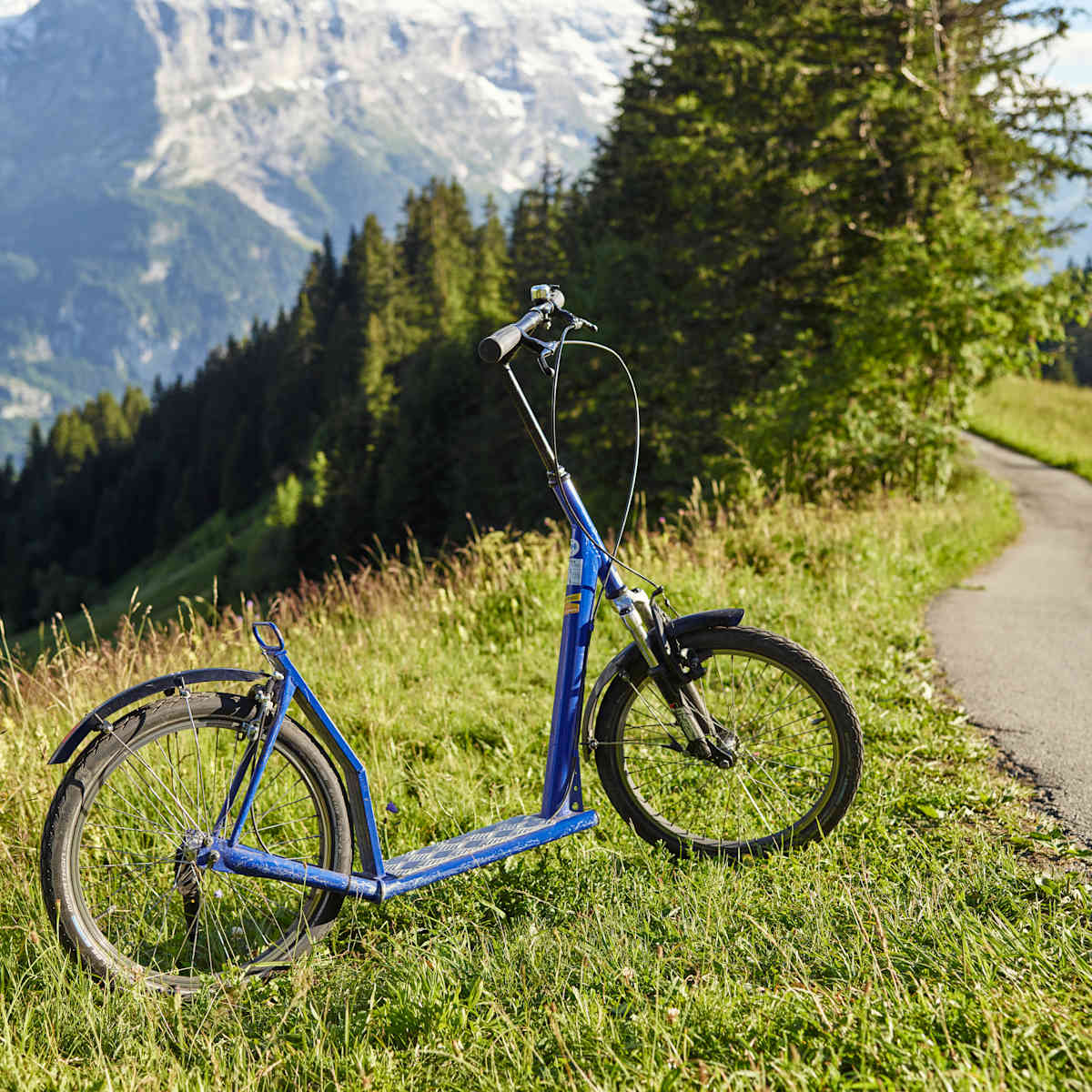 Trottibike summer meadow