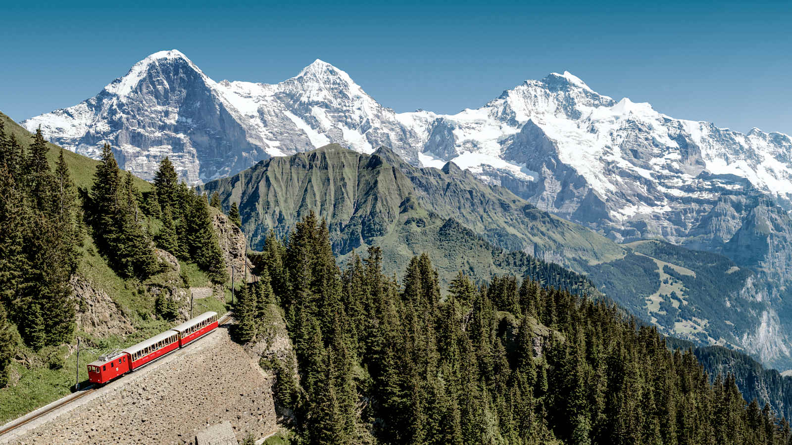 Schynige Platte Group Offer