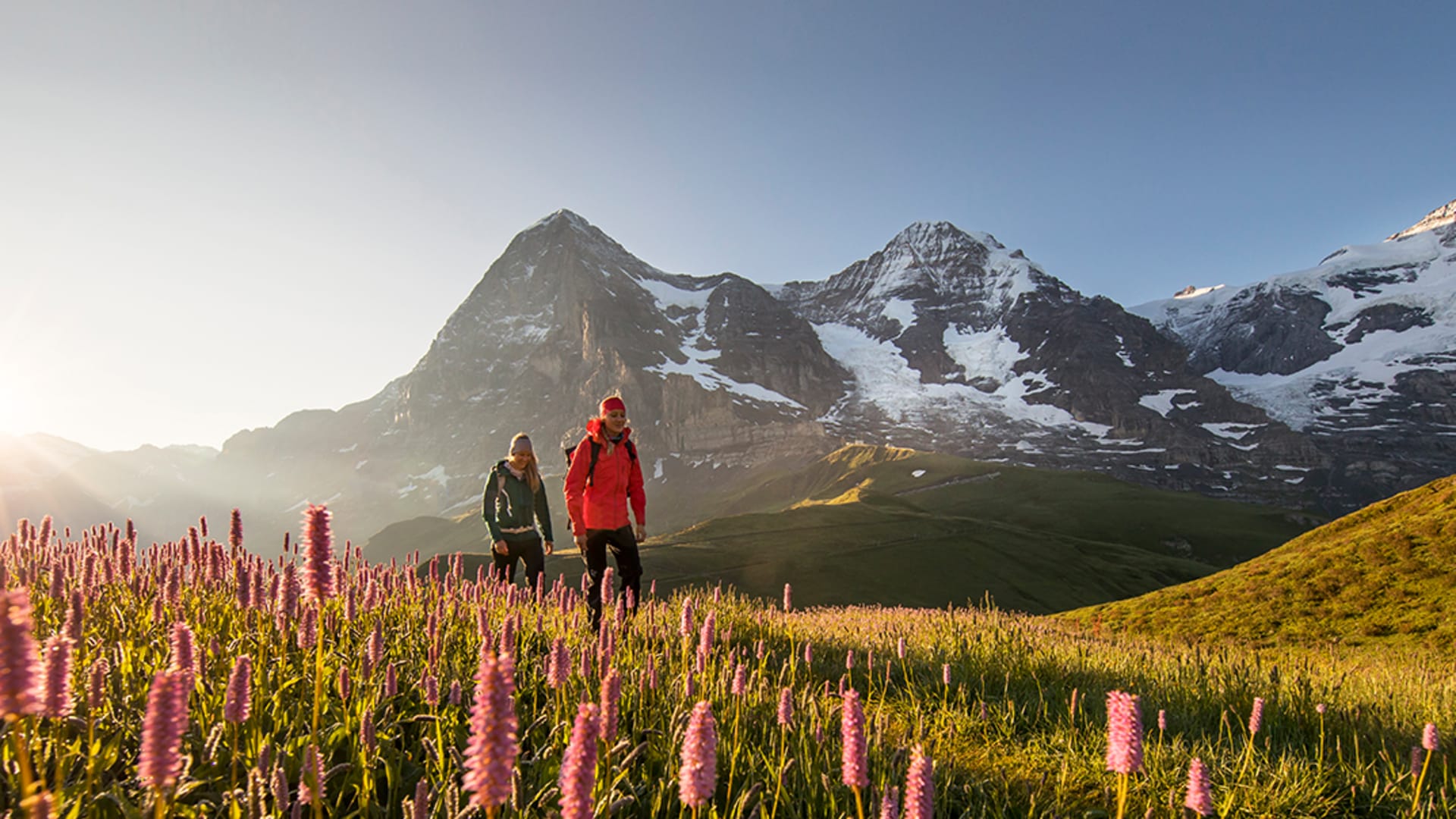 Hikers at Kleine Scheidegg in front of Eiger, Mönch and Jungfrau