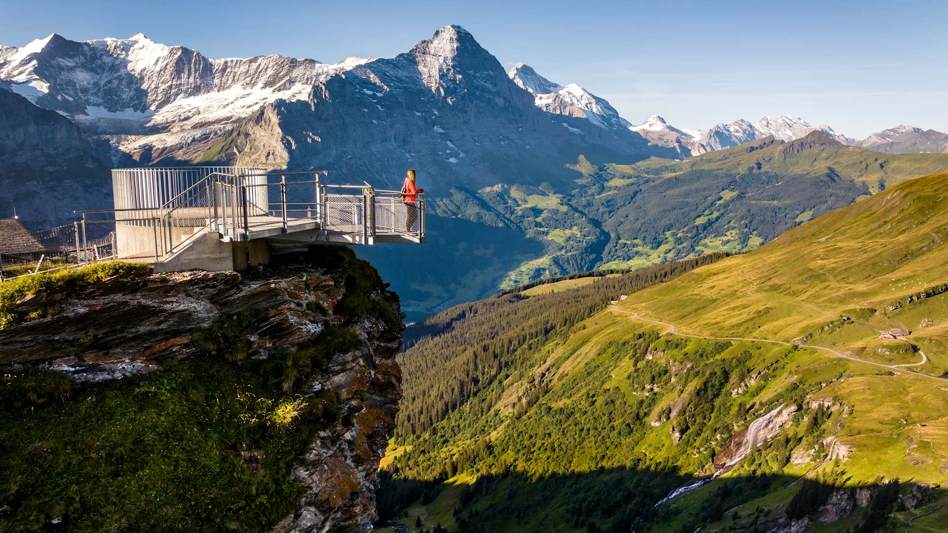“First View” vantage platform