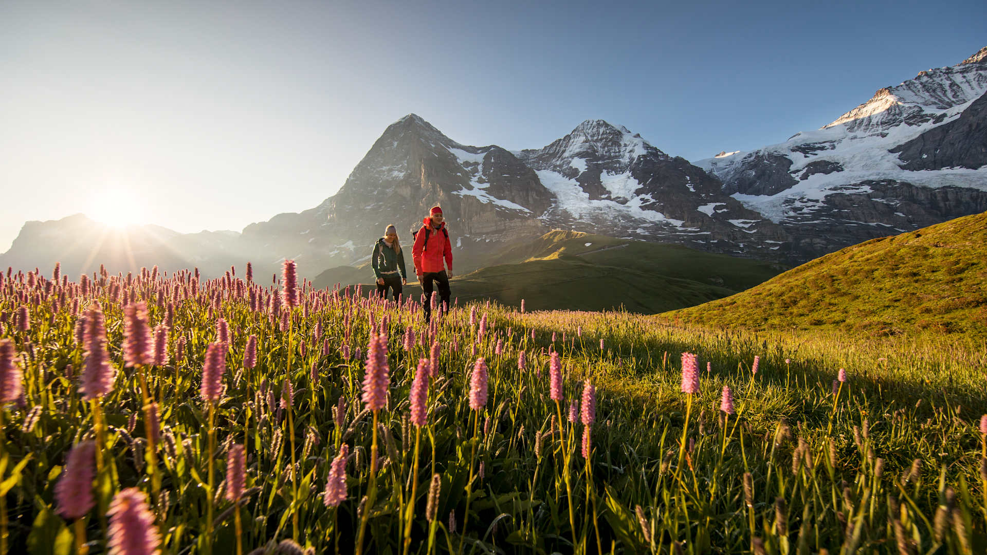 Kleine Scheidegg