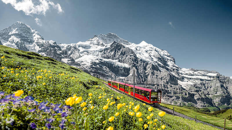 Unlimited Jungfrau Summer Pass
