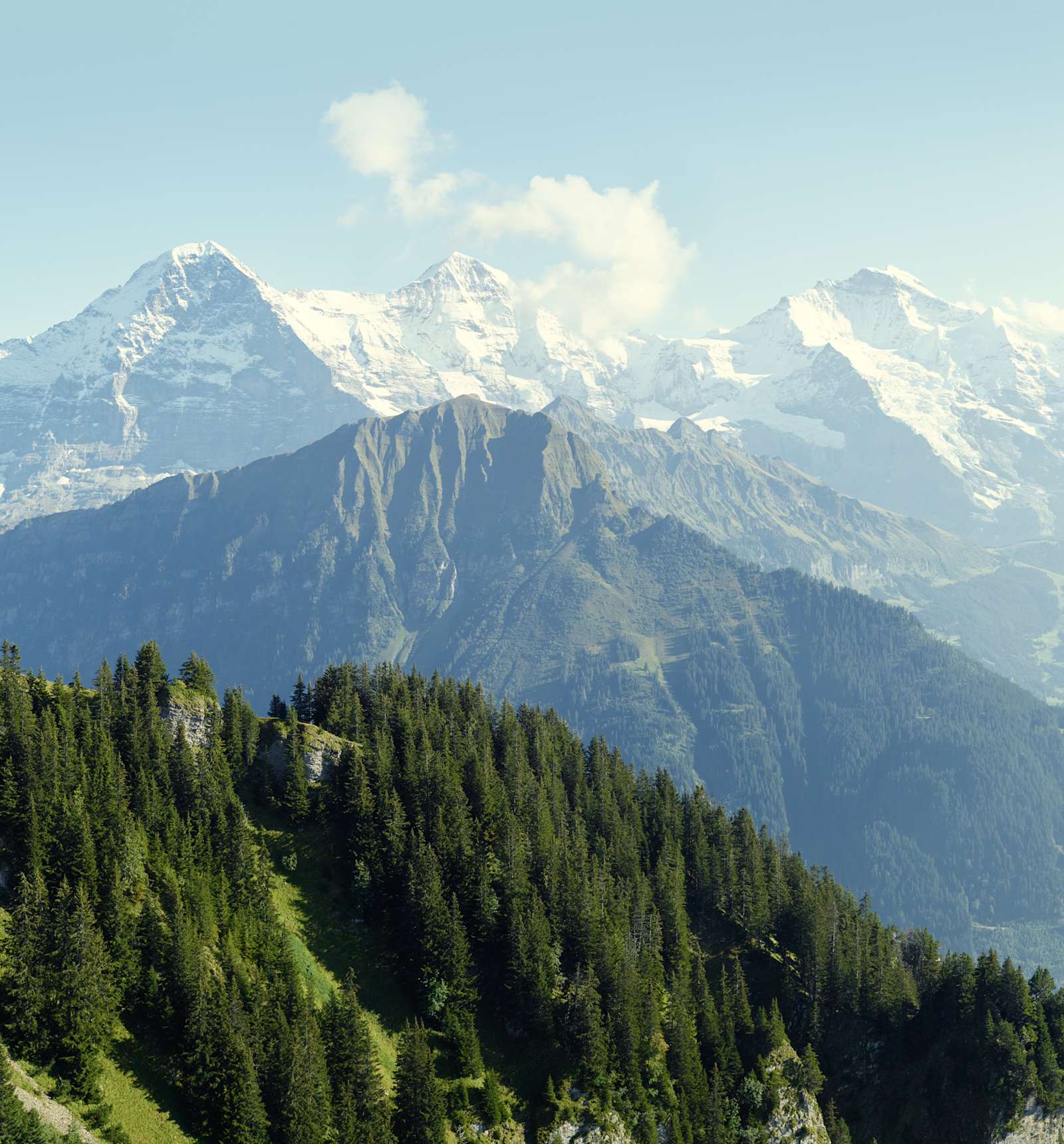 Schynige Platte