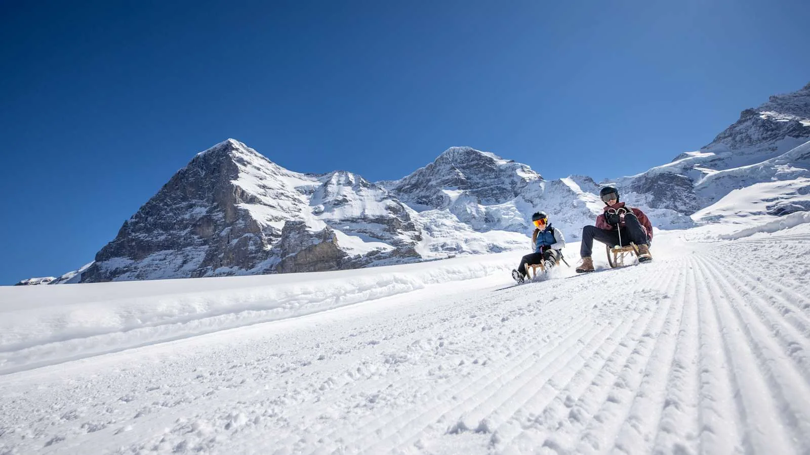 Jungfrau Eiger Run: varied sledging safari