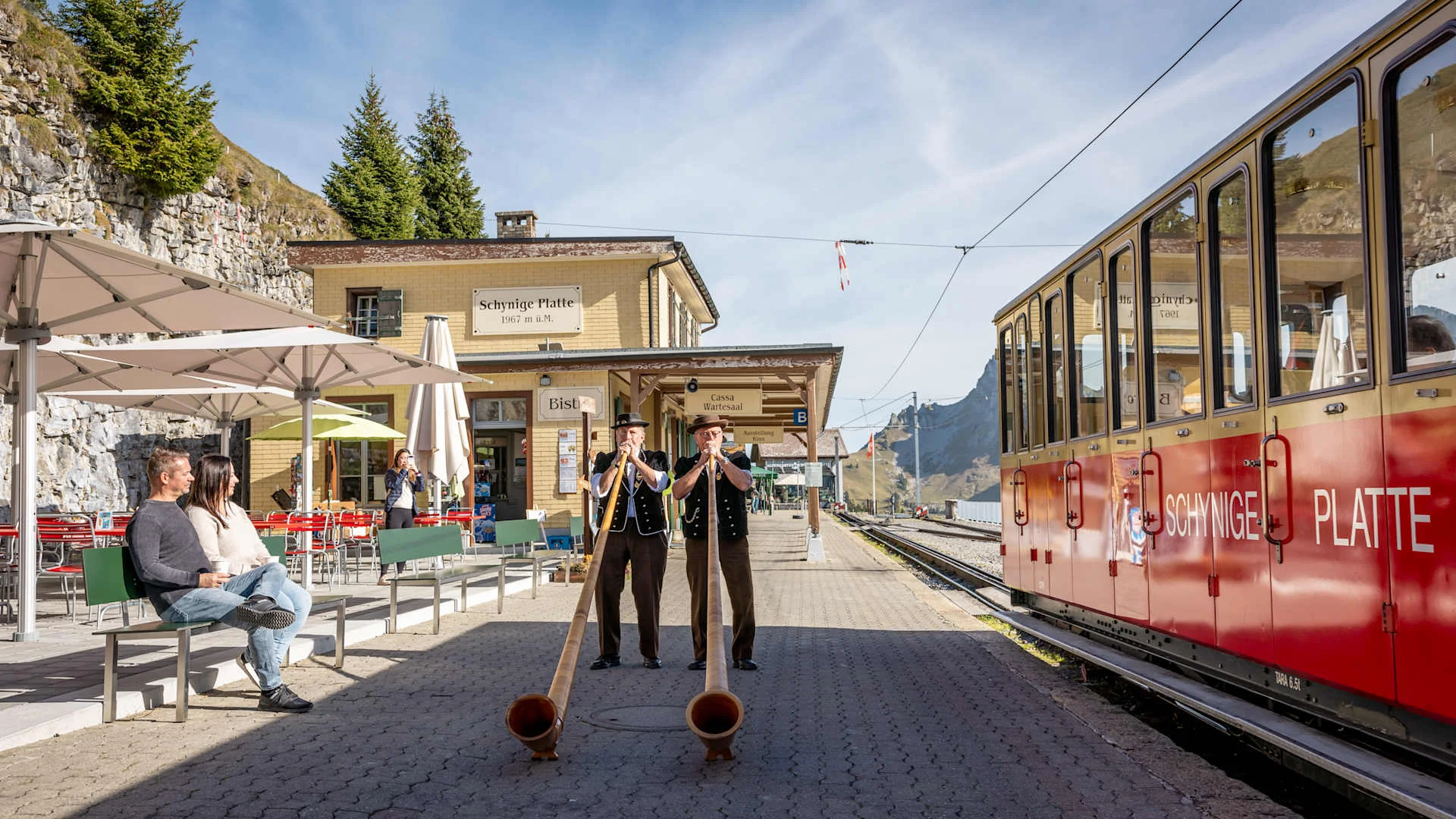 Alphorn players