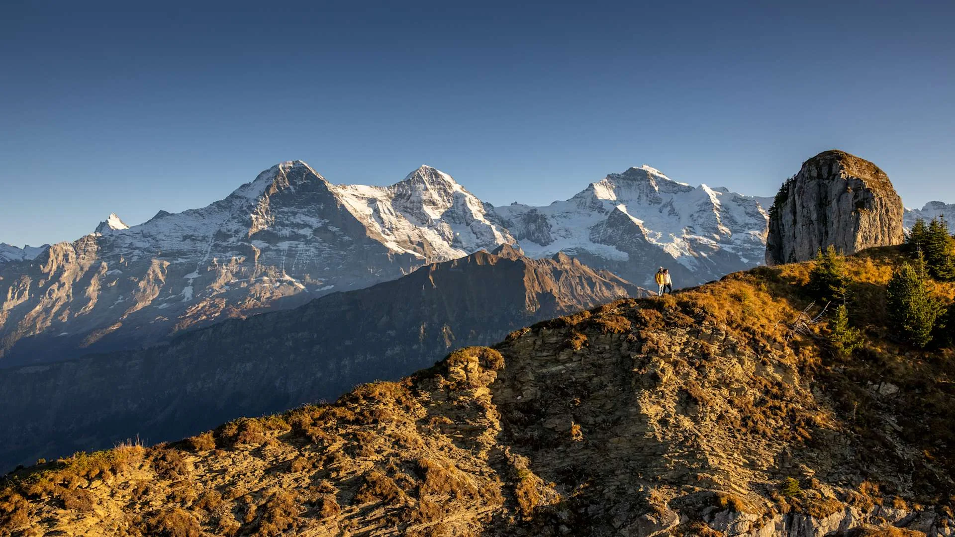 Panorama hike Schynige Platte