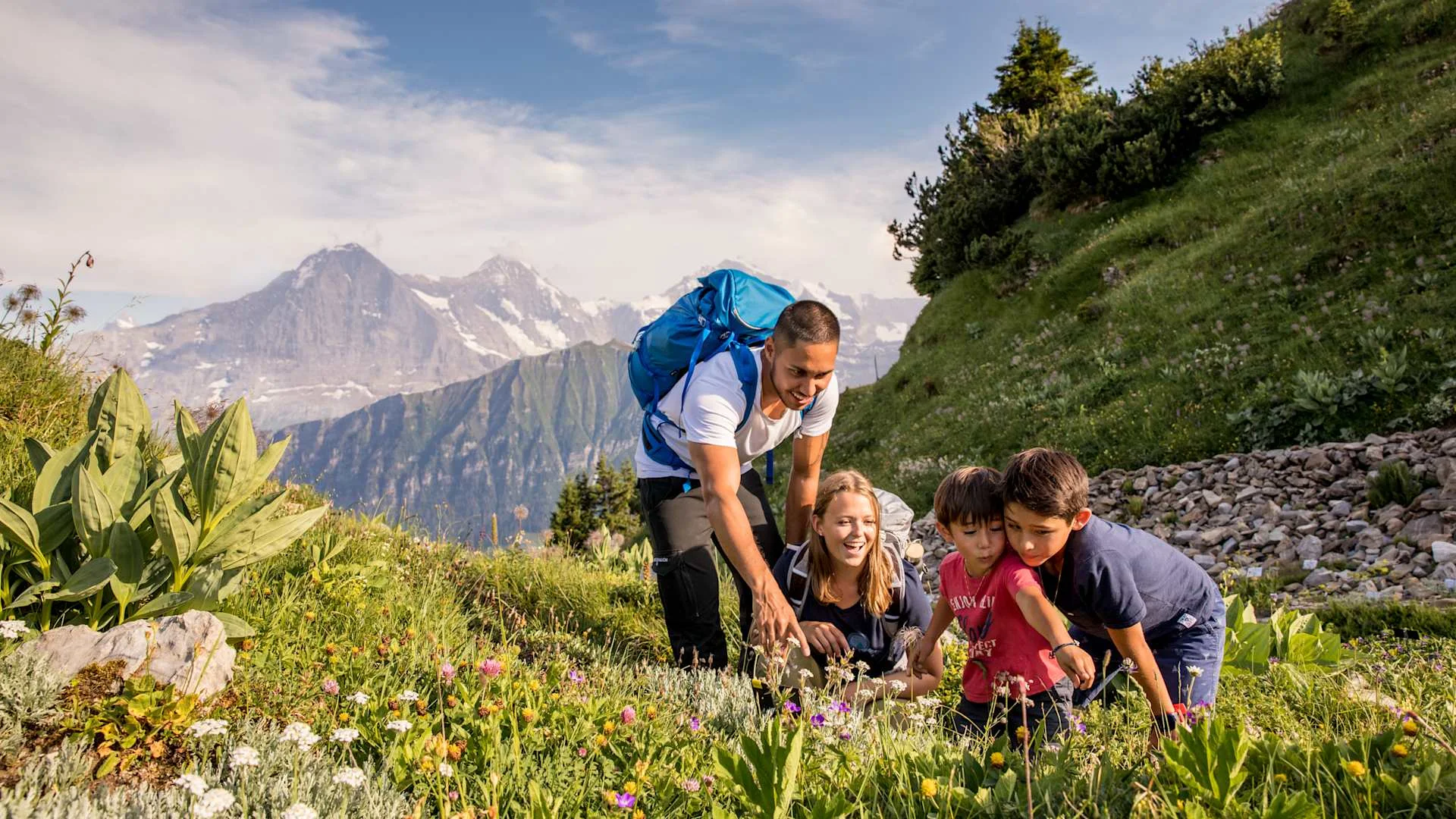 Botanical Alpine Garden