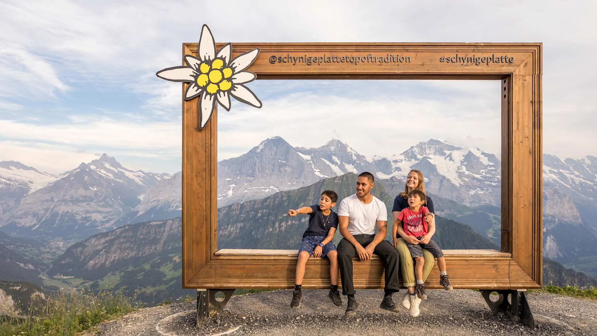 Nature cinema