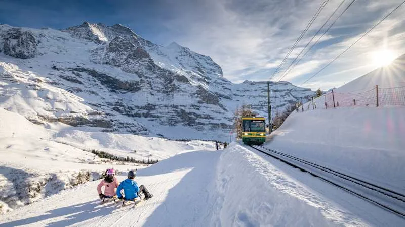Fox Run: Tobogganing next to the Lauberhorn downhill run