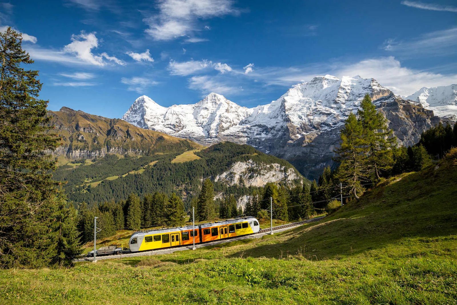 Winteregg-Mürren – Top of Family