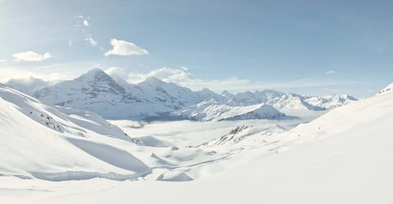 Big Pintenfritz: One of the longest toboggan runs in Europe
