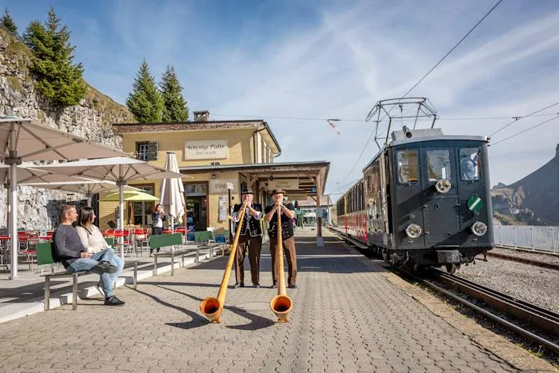 Live alphorn concert